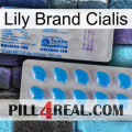 Lily Brand Cialis new15